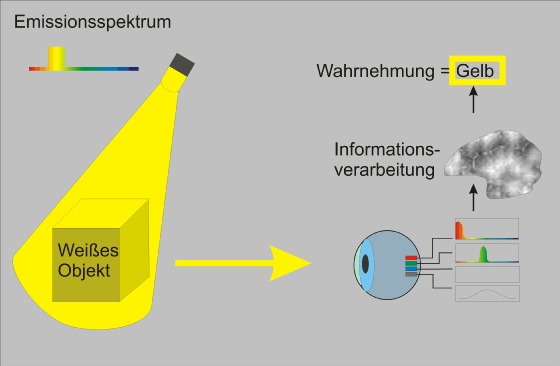 Wir sehen eine Farbe aus dem Lichtspektrum die Spektralfarbe